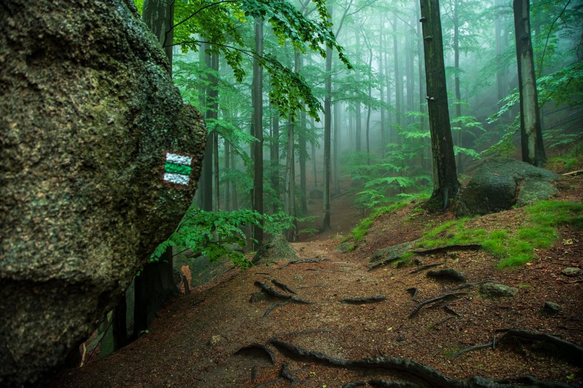 Chata Jizerke Hory Solcuv Rybnik Raspenava Exterior foto